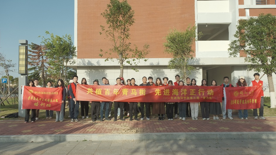 图片6